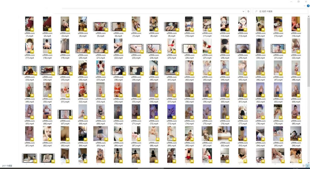 韩国优质荡妇女神 netto5netto(elegant netto) onlyfans资源合集下载【339P+217V】 24 29130534886